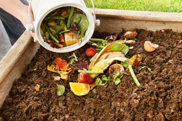 Compostagem: Transformando Resíduos Orgânicos em Benefícios para o Solo