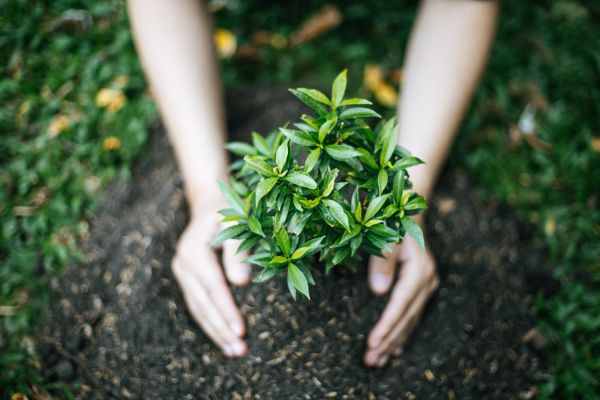 Empreendedorismo Sustentável: Inovando para um Futuro Verde